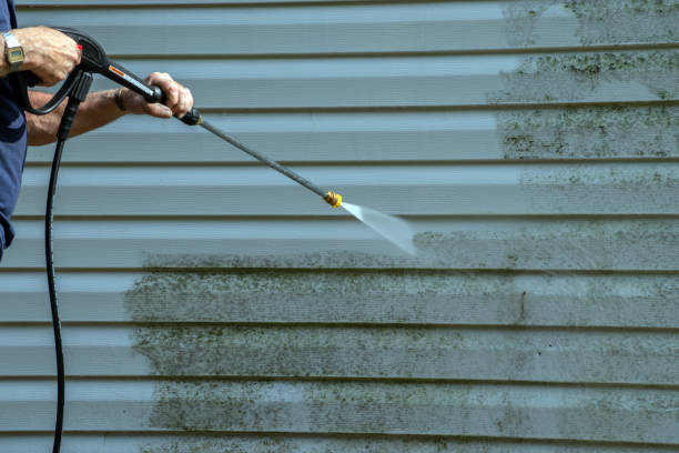 Best Pressure Washing Near Me  in New Athens, IL