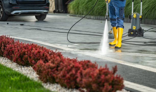 Best Residential Pressure Washing Services  in New Athens, IL